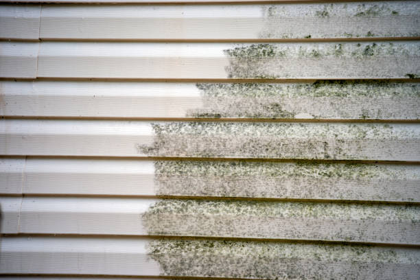 Best Historical Building Siding Restoration  in Mocksville, NC