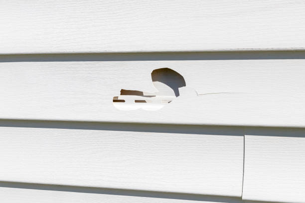 Best Steel Siding Installation  in Mocksville, NC